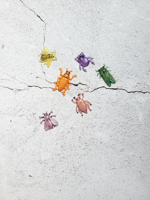 A birds eye view of six insect figures of various colors and types. A yellow bee with black stripes and eyes, a purple beetle, a green cicada, an orange beetle with black embellishments, pale pink beetle with black spots, pale purple pink wasp with black embellishments.